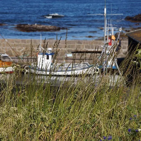 Sandvig Havn