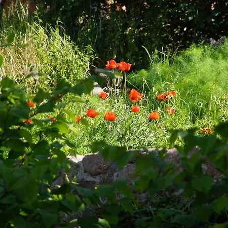 Hotel Sandvig Havn 2*