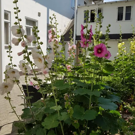 Hotel Sandvig Havn Allinge-Sandvig